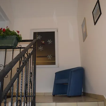 Nadja Daire Novi Sad