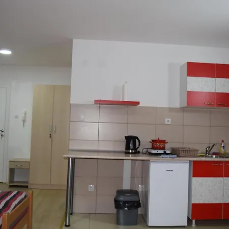 Nadja Novi Sad