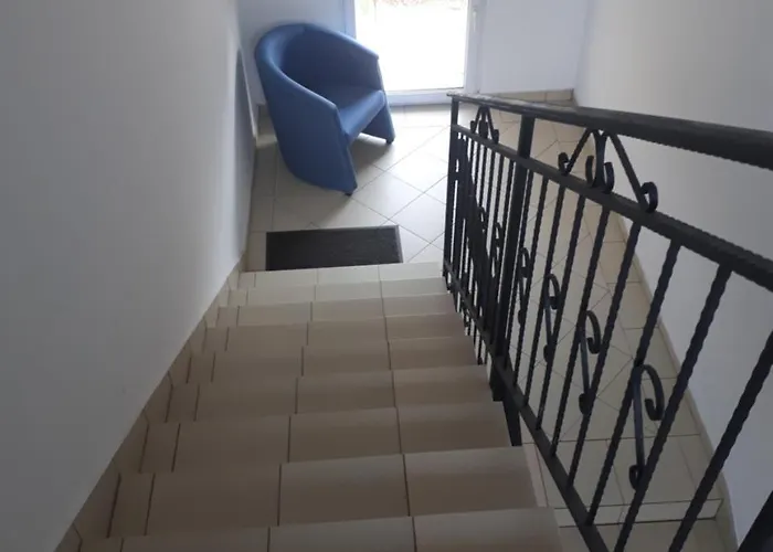 Nadja Daire Novi Sad