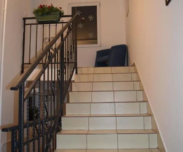 Nadja Daire Novi Sad