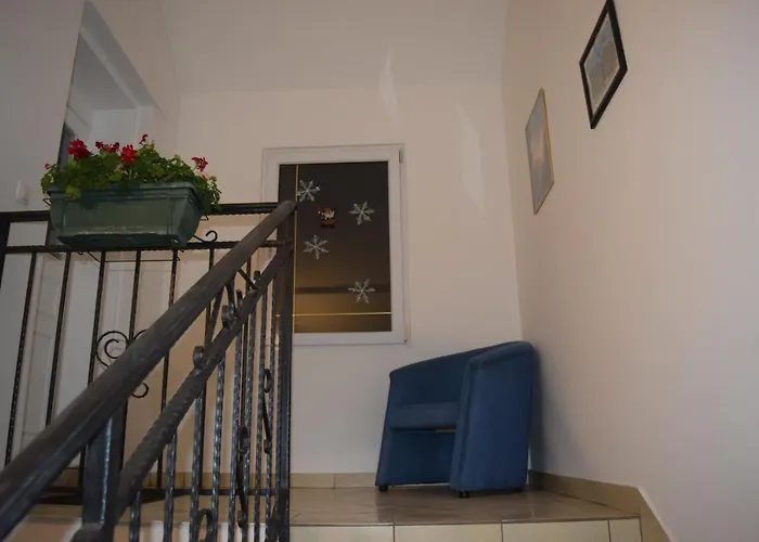 Nadja Daire Novi Sad